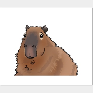 Capybara Posters and Art